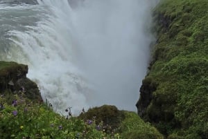 Golden Circle: Private Tour for up to 7 PAX /7 Hours/