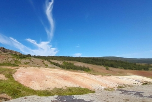 Privat tur till Golden Circle med en lokal guide