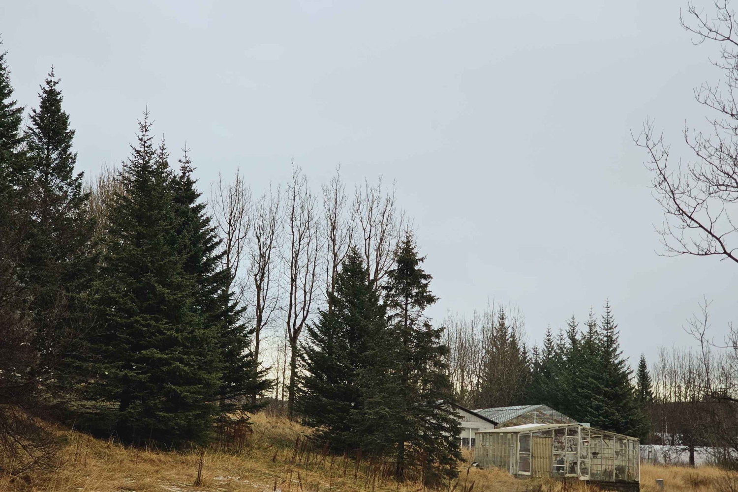 ゴールデンサークルプライベートツアー（溶岩トンネルオプション付き）