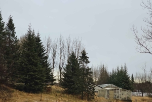 ゴールデンサークルプライベートツアー（溶岩トンネルオプション付き）