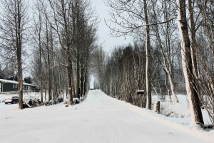 ゴールデンサークルプライベートツアー（溶岩トンネルオプション付き）