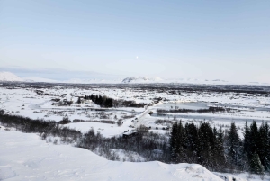 ゴールデンサークルプライベートツアー（溶岩トンネルオプション付き）
