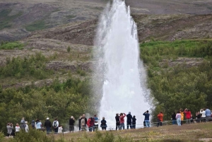 Den Gyldne Cirkel & Den Hemmelige Lagune & Friðheimar - PRIVAT TUR