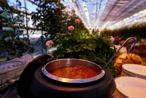 Z Reykjaviku: Farma pomidorów Friðheimar i transfer do Sky Lagoon