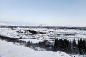 Golden Circle with Friedhamer Farm and Lagoon