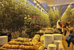 Cercle d'Or avec ferme de tomates et Secret Lagoon (en option)