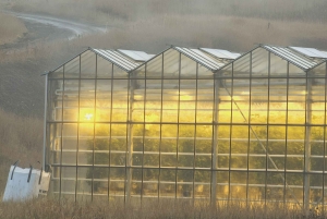 Cercle d'Or avec ferme de tomates et Secret Lagoon (en option)