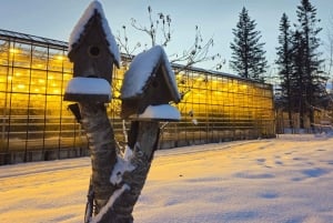 Cercle d'Or avec ferme de tomates et Secret Lagoon (en option)