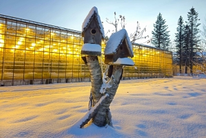 Cercle d'Or avec ferme de tomates et Secret Lagoon (en option)