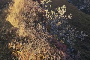 Cercle d'Or avec ferme de tomates et Secret Lagoon (en option)