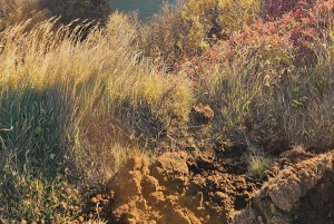 Cercle d'Or avec ferme de tomates et Secret Lagoon (en option)