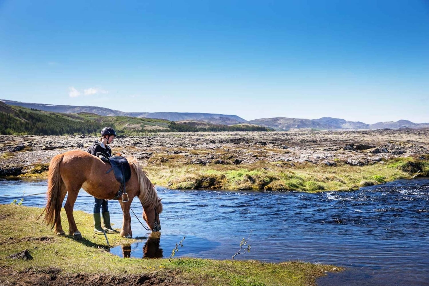 Hafnarfjörður : Randonnée à cheval dans la région de Reykjavik