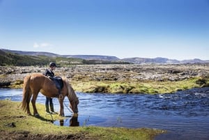 Hafnarfjörður: Horseback Riding Tour in Reykjavik Area