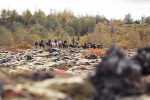 Hafnarfjörður: Hafnarfarður: Ratsastuskierros Reykjavikin alueella