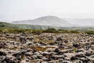 Hafnarfjörður: Hafnarfarður: Ratsastuskierros Reykjavikin alueella