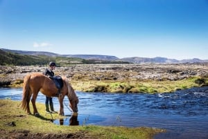 Hafnarfjörður : Randonnée à cheval dans la région de Reykjavik