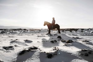 Hafnarfjörður : Randonnée à cheval dans la région de Reykjavik