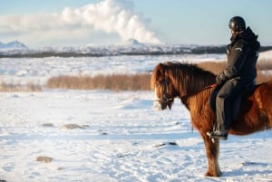 Hafnarfjörður : Randonnée à cheval dans la région de Reykjavik