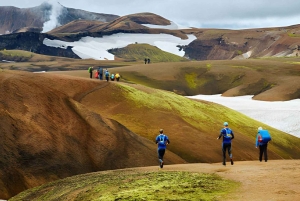 Fottur i høylandet: Landmannalaugar og varme kilder i små grupper
