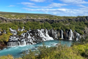 Hraunfossar, Barnafoss+Hvamsvik hot spring Private Tour