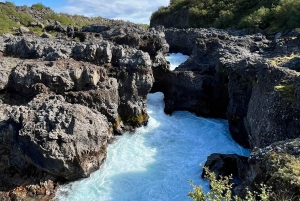 Hraunfossar, Barnafoss+Hvamsvik hot spring Private Tour