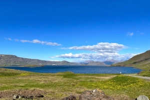 Hraunfossar, Barnafoss+Hvamsvik hot spring Private Tour