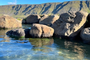 Hraunfossar, Barnafoss+Hvamsvik hot spring Private Tour