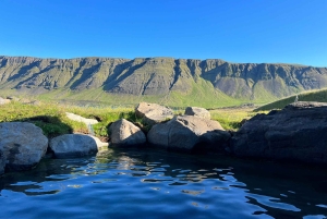 Hraunfossar, Barnafoss+Hvamsvik hot spring Private Tour