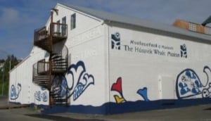 Húsavík Whale Museum (Hvalasafnið)