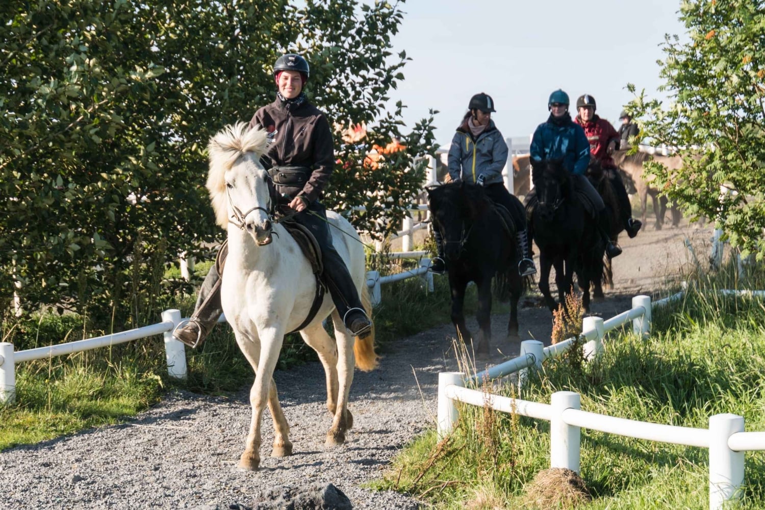 Hveragerdi: La excursión a caballo de Siggi