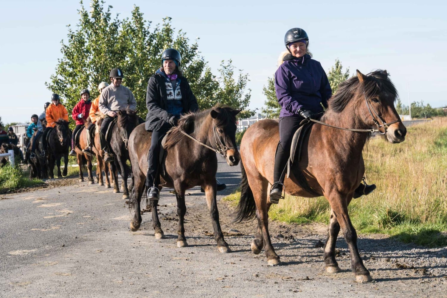 Hveragerdi: La excursión a caballo de Siggi