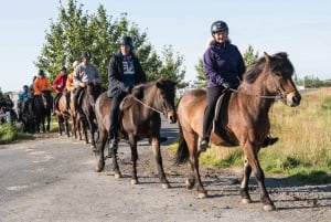 Hveragerdi: il tour a cavallo di Siggi