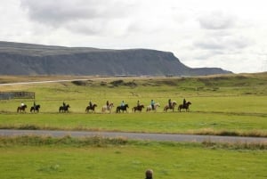 Hveragerdi: il tour a cavallo di Siggi