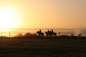 Hveragerdi: il tour a cavallo di Siggi