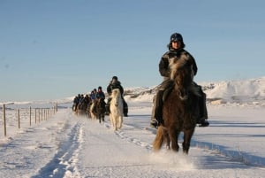 Hveragerdi: il tour a cavallo di Siggi