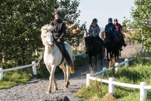 Hveragerdi: La excursión a caballo de Siggi