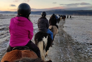Hveragerdi: La excursión a caballo de Siggi