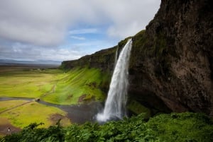 Fra Reykjavik: 6-dages islandsk ringvejstur