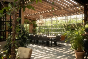 Island: 9-dagars guidad vandringstur med måltider