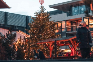 From Reykjavík: Christmas Market and Yule Lads Driving Tour