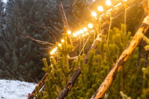 From Reykjavík: Christmas Market and Yule Lads Driving Tour