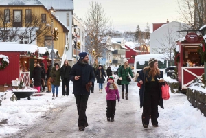From Reykjavík: Christmas Market and Yule Lads Driving Tour