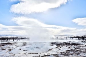 Iceland Day Tour: Golden Circle by Minibus