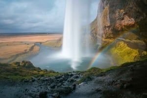 Iceland food and nature challenge tour