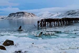 Island i en nøddeskal, privat Super Jeep