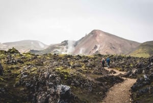 Islândia: Experiência de caminhada guiada em Landmannalaugar