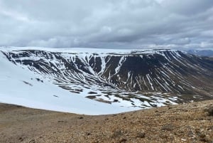 Iceland: Móskarðshnjúkar Day Hike with Guide