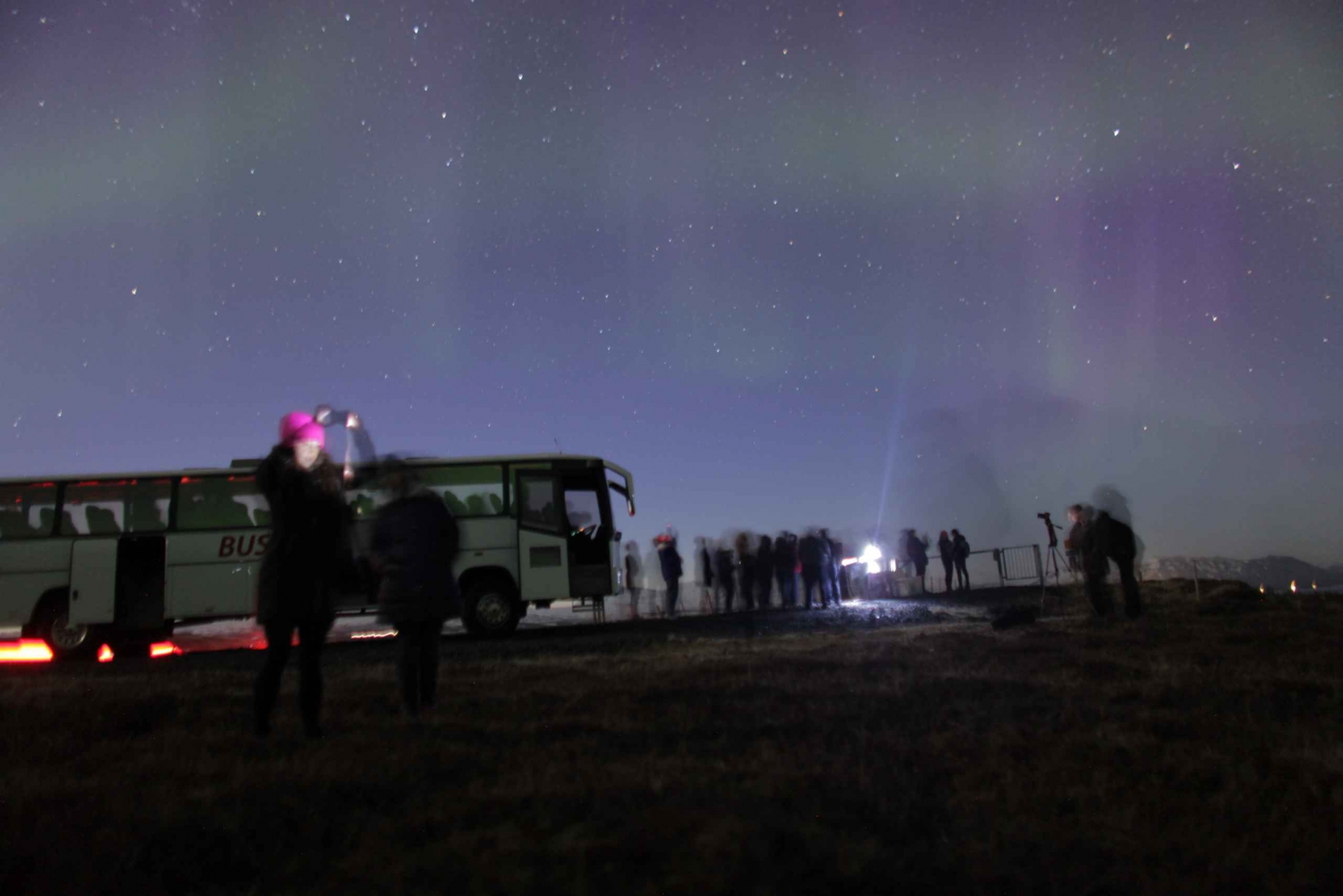 Iceland: Northern Lights Bus Tour from Reykjavik