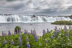De natuurlijke wonderen van IJsland: privétour over de Gouden Cirkel