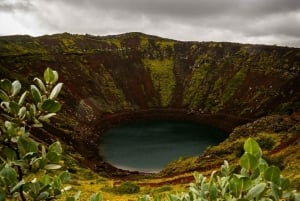 De natuurlijke wonderen van IJsland: privétour over de Gouden Cirkel